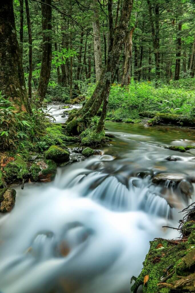 kamikochi-chubu-sangaku-national-park