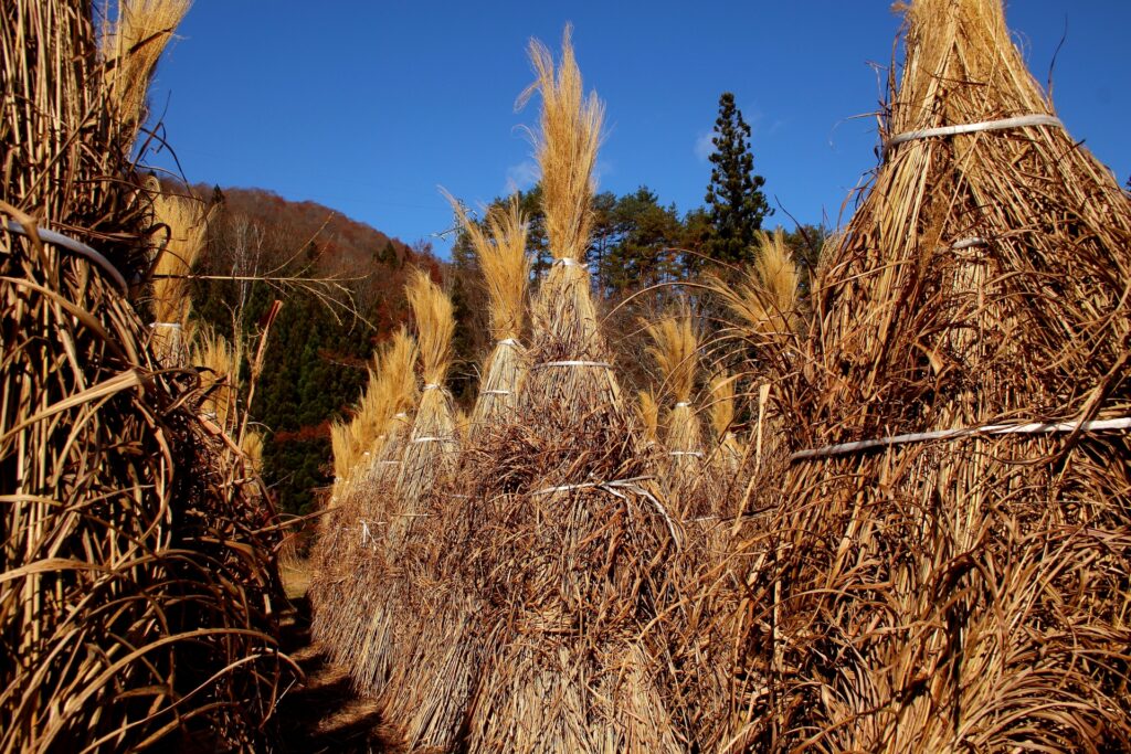 shirakawago-gokayama