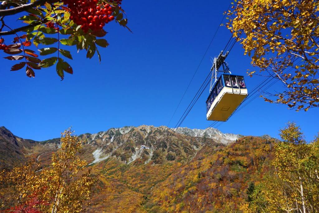 Autumn Leaves In Nagano