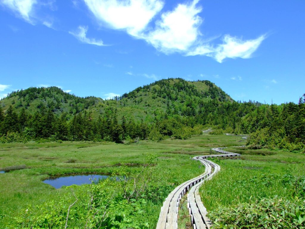 Trekking Shiga-kogen Highlands