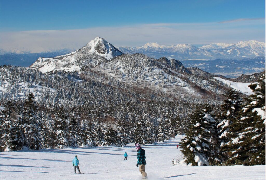 Shiga-kogen Highlands snowboarding