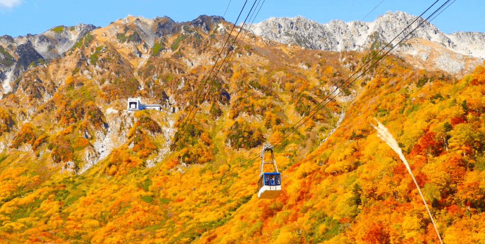 tateyama-autumn-banner-edit