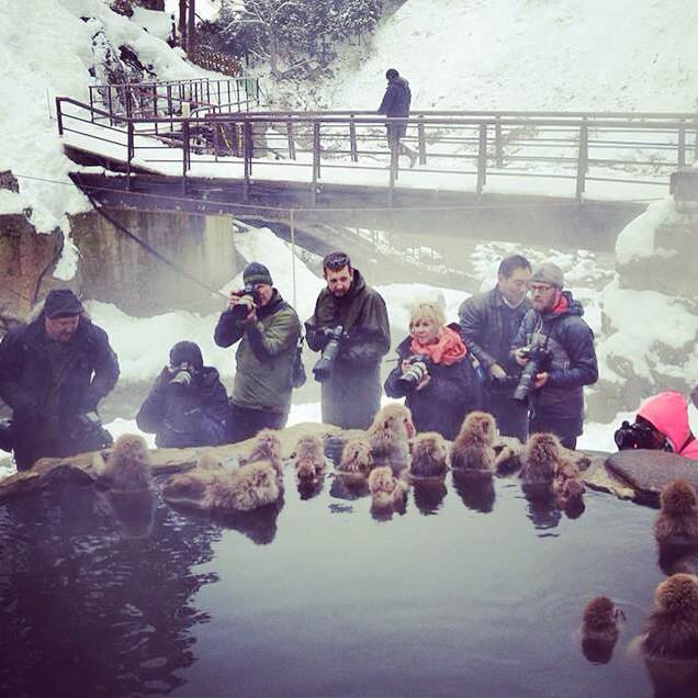 冬季的雪猴公園