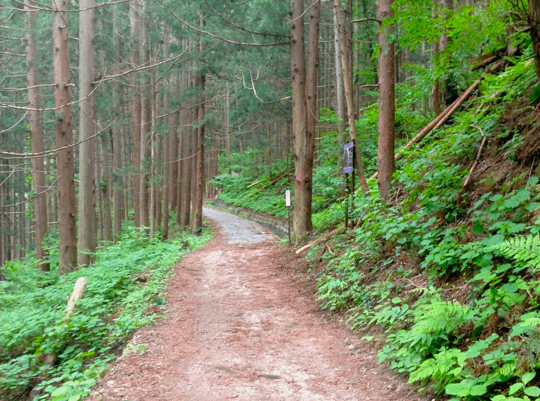 jigokudani-monkey-park-trail