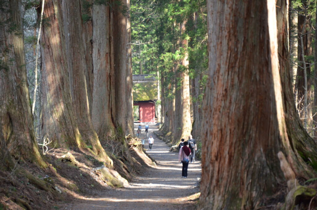 Togakushi Shrine Okusha