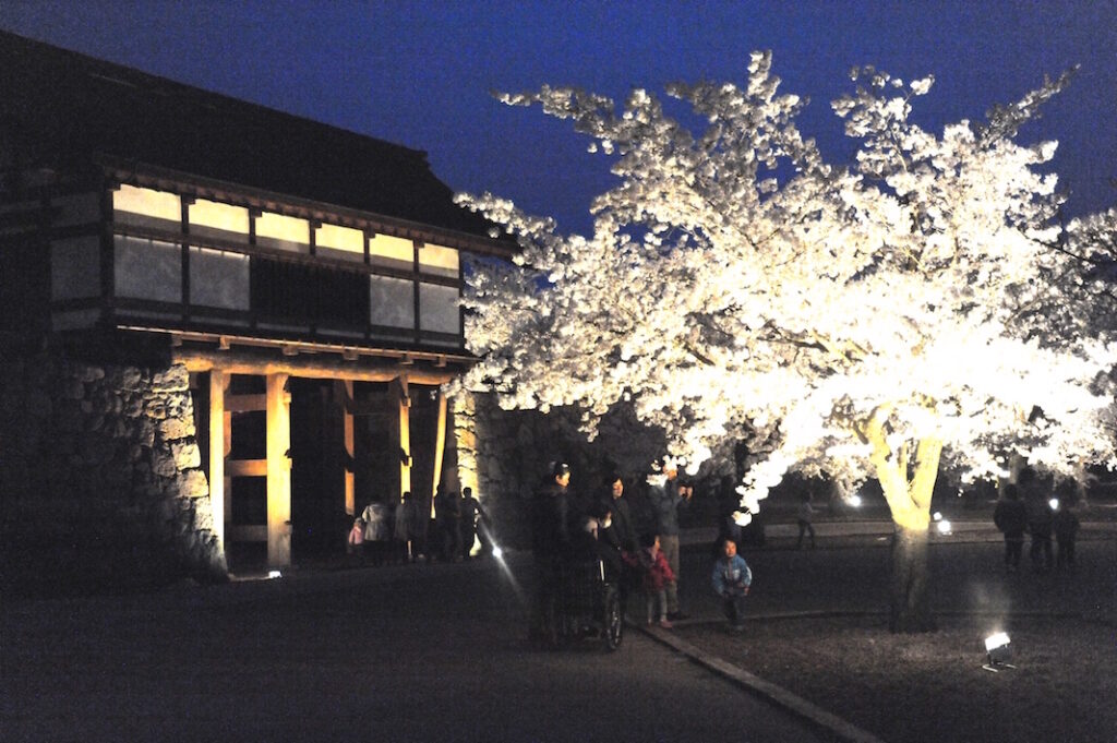 Matsushiro Flower festival