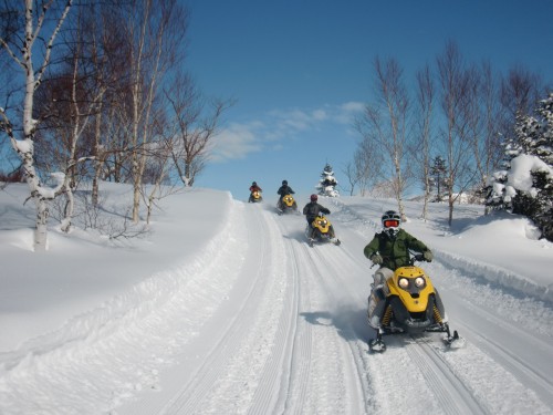 一日游: 志贺高原，雪猴和雪地摩托车之旅
