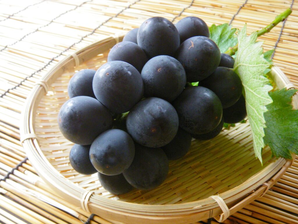 food-fruit-grapes