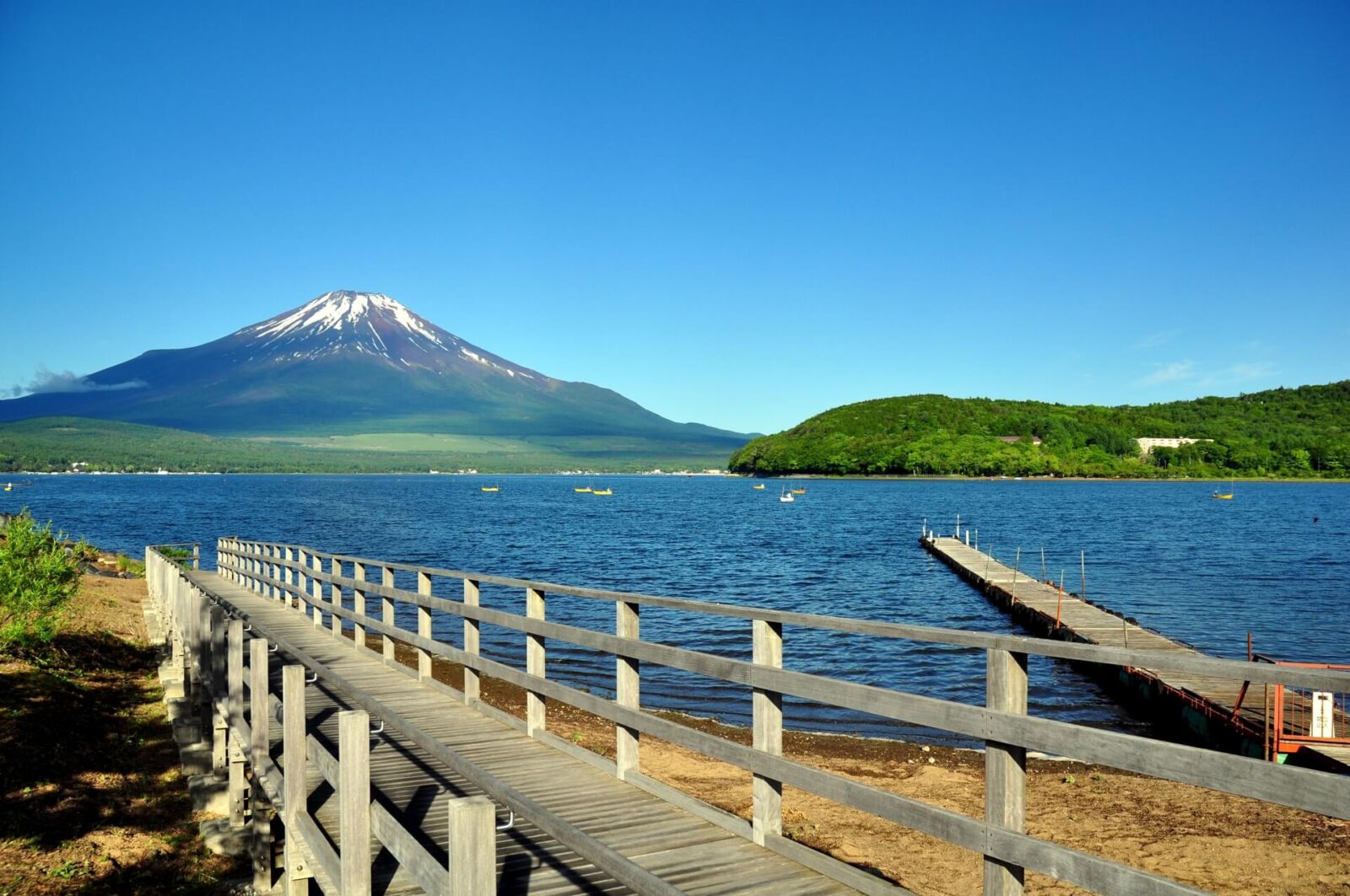 fuji-yamanakako