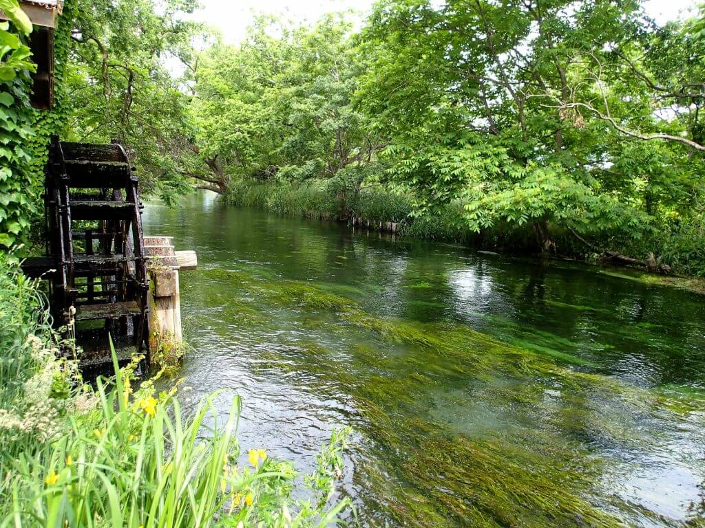 Daio Wasabi Farm SNOW MONKEY RESORTS