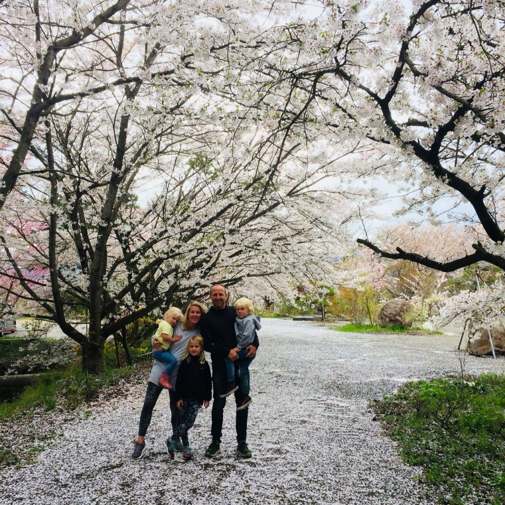 cherry-blossom-sakura-tour-guests