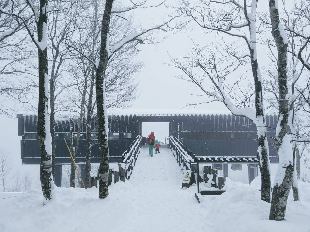 Hakuba Mountain Harbor Snow Monkey Resorts