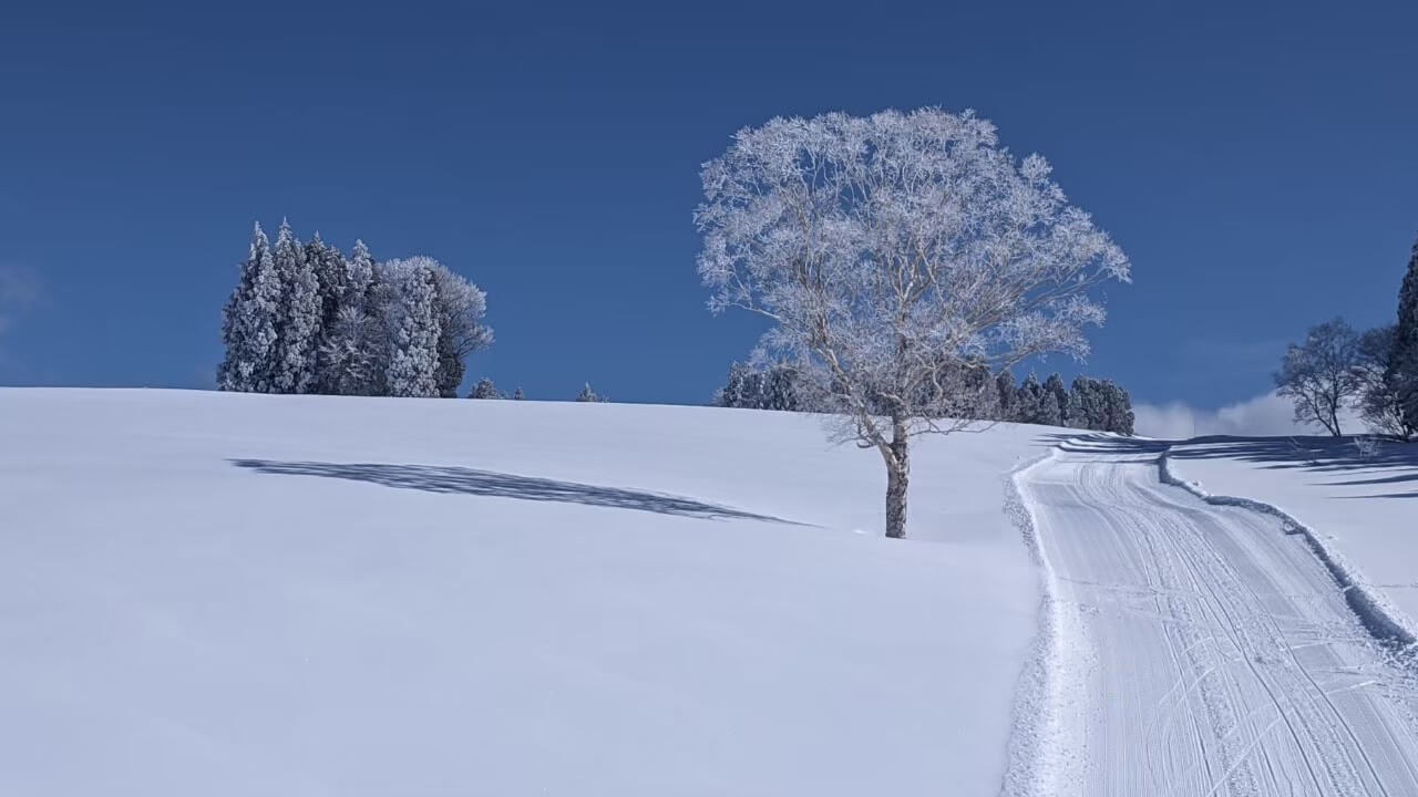 nozawa-onsen-ski-resort-edit