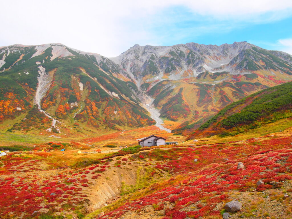 tateyama kurobe alpine route tour from nagoya