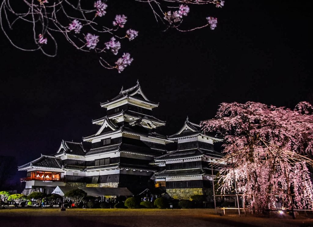matsumoto-castle-blossom