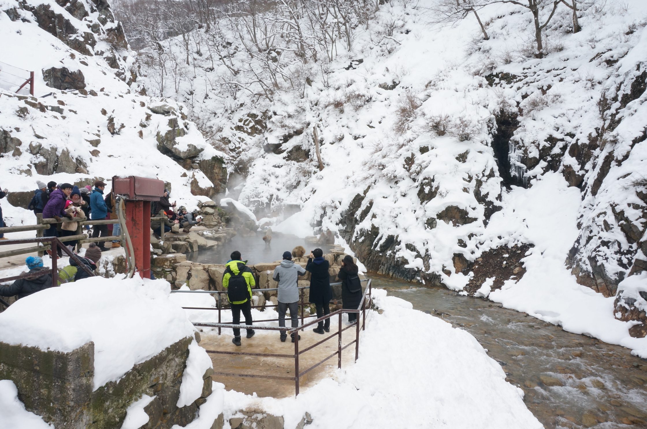 地獄谷雪猴公園 Snow Monkey Resorts