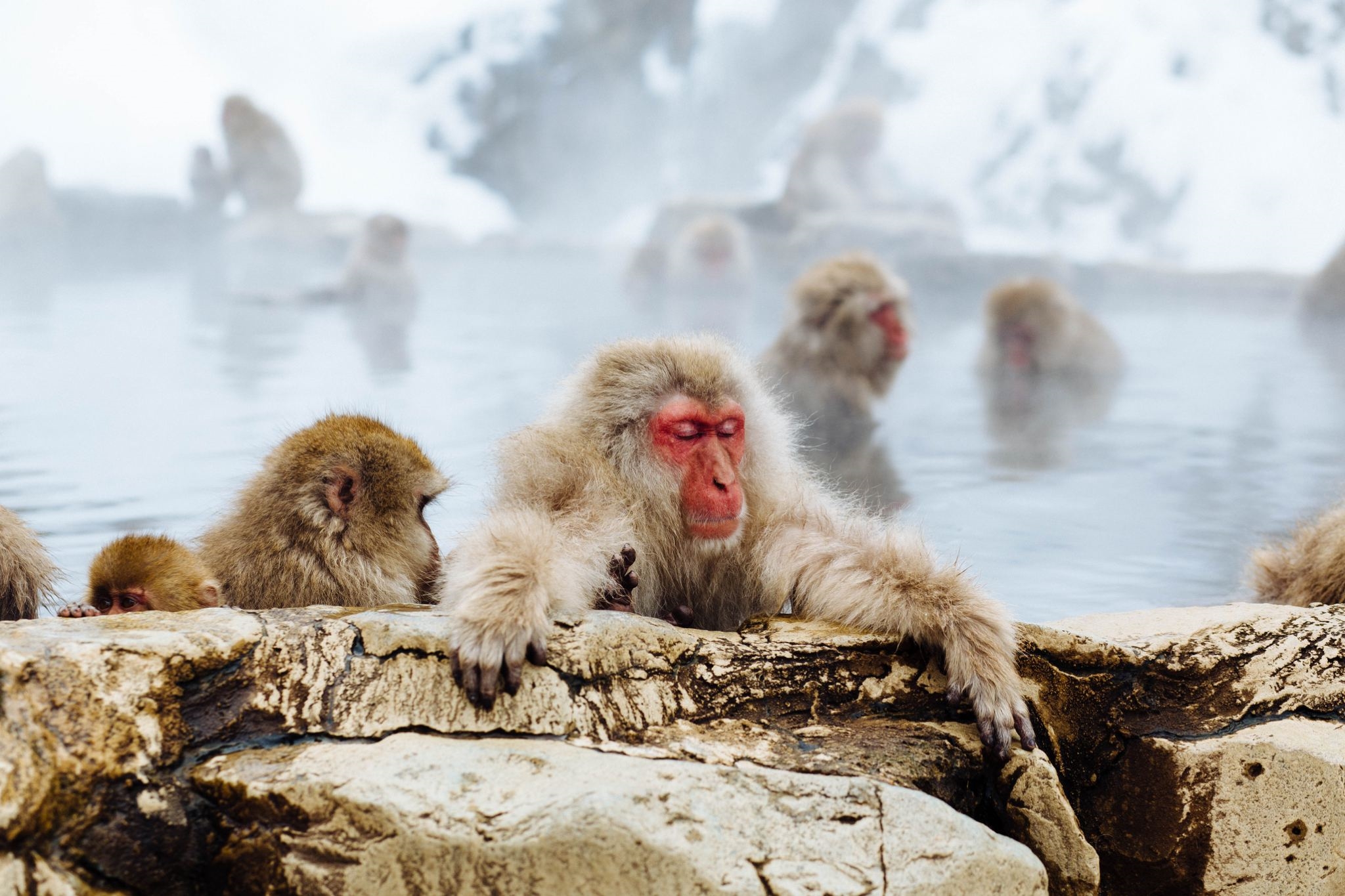 Yamanouchi Area - Home of the Snow Monkeys