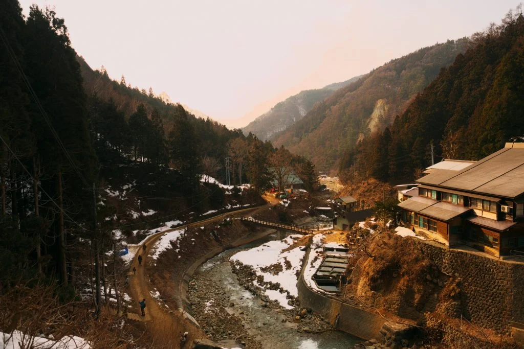 jigokudani-monkey-autumn