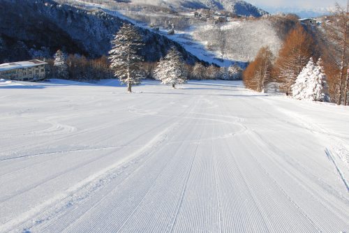 志贺高原滑雪场