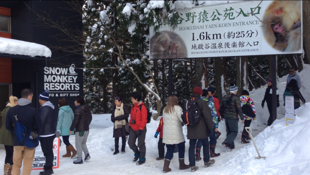 Snow-monkey-resorts-info-and-gift-shop