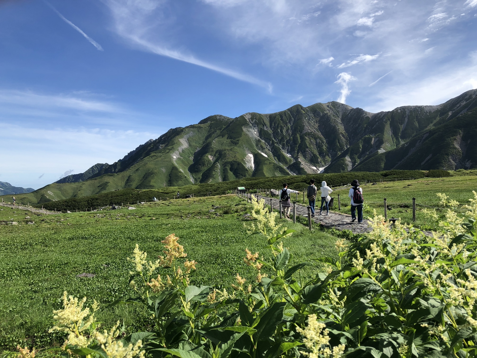 立山 黑部高山路线 Snow Monkey Resorts