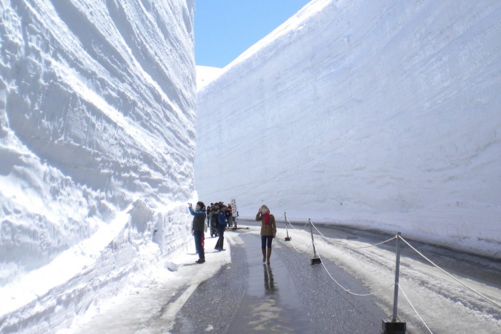 tateyama-kurobe-alpine-route-snow-walls