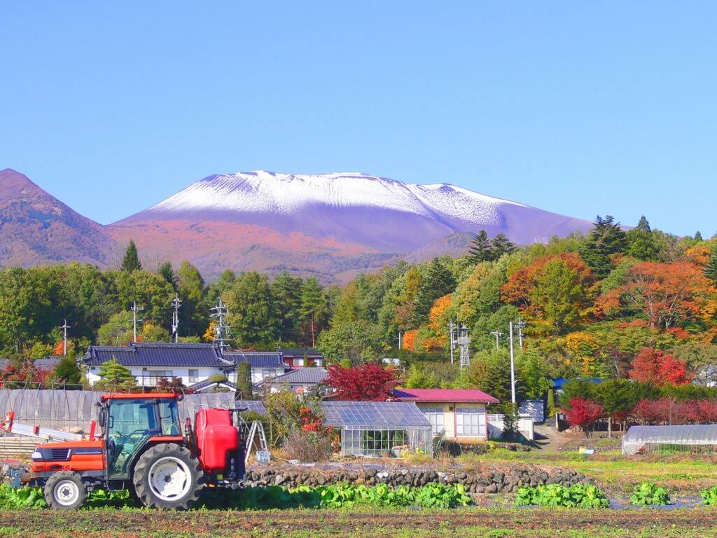 長野的名產美食