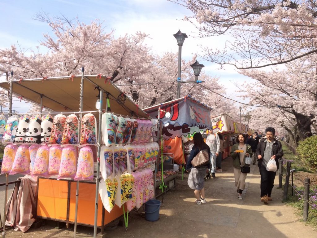 suzuka-garyu-blossoms