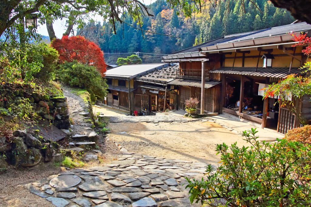 Autumn Leaves In Nagano