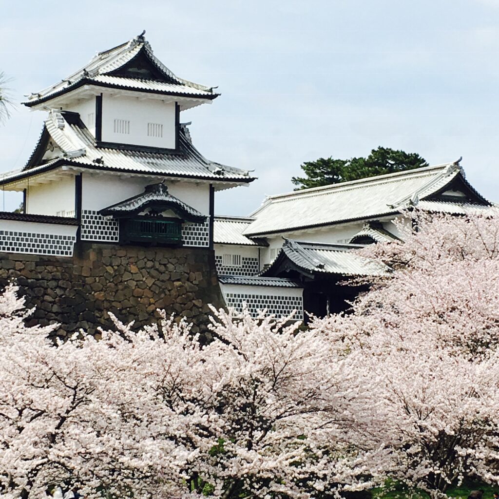 kanazawa-castle-cherry-blossom-sakura