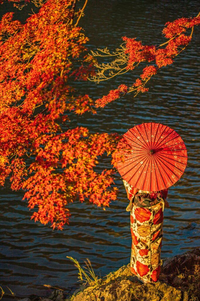 kyoto-autumn-koyo
