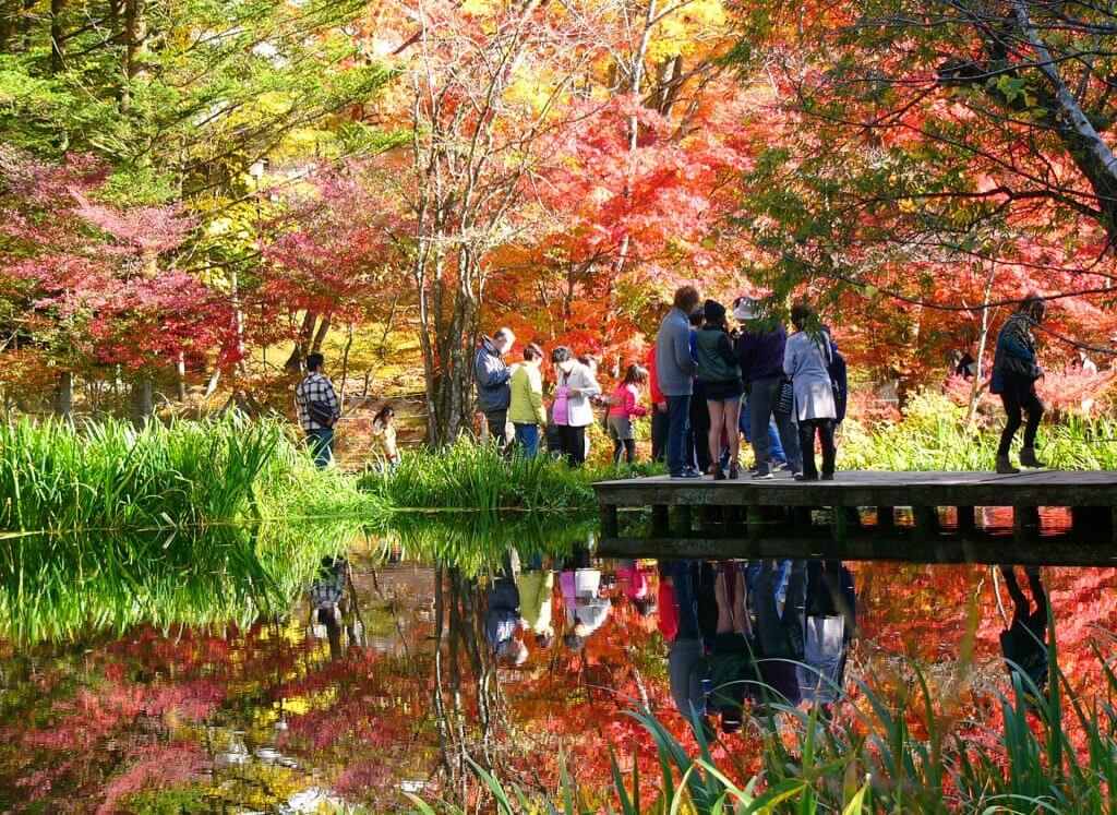 karuizawa-autumn-leaves