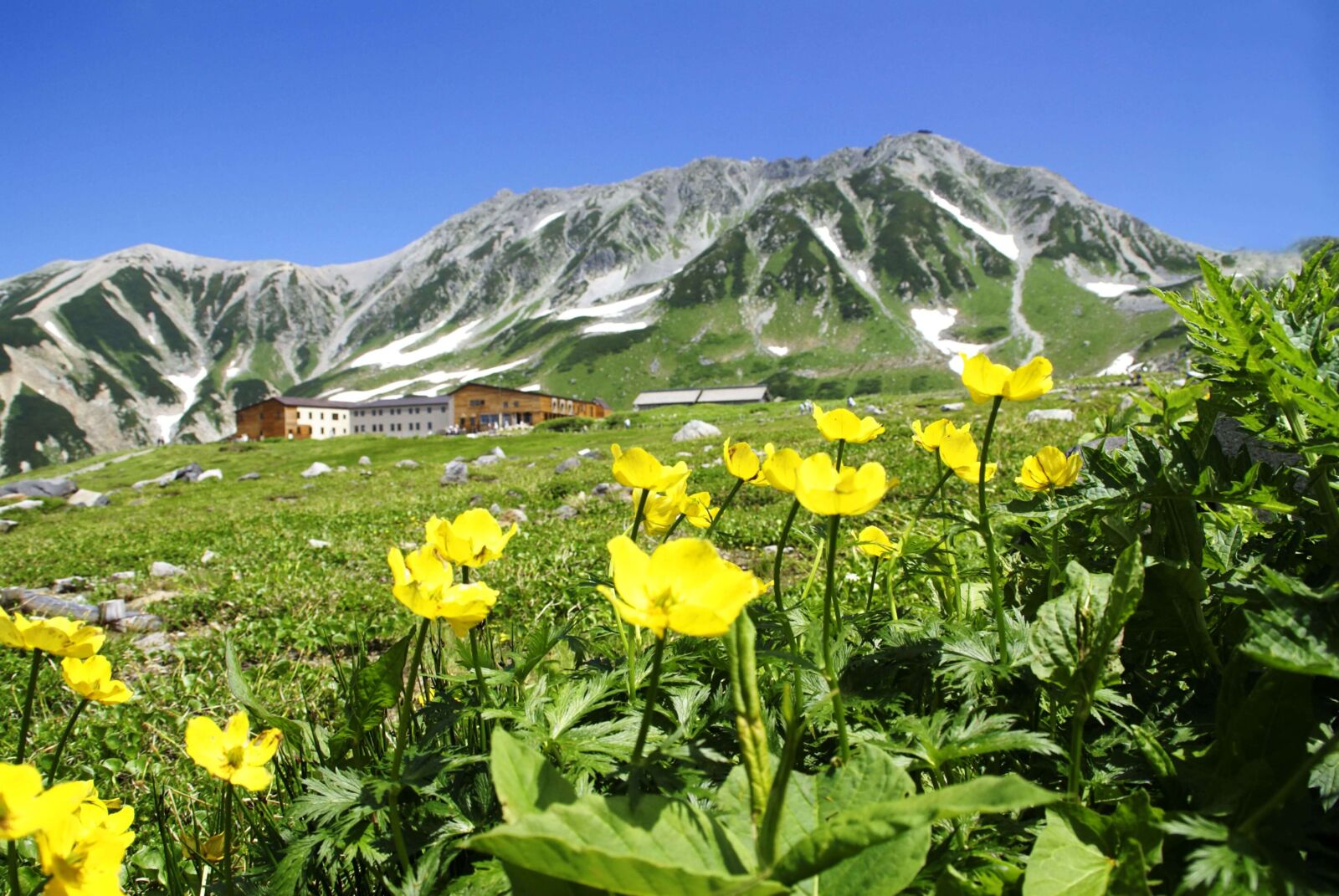 tateyama-kurobe-alpine-route