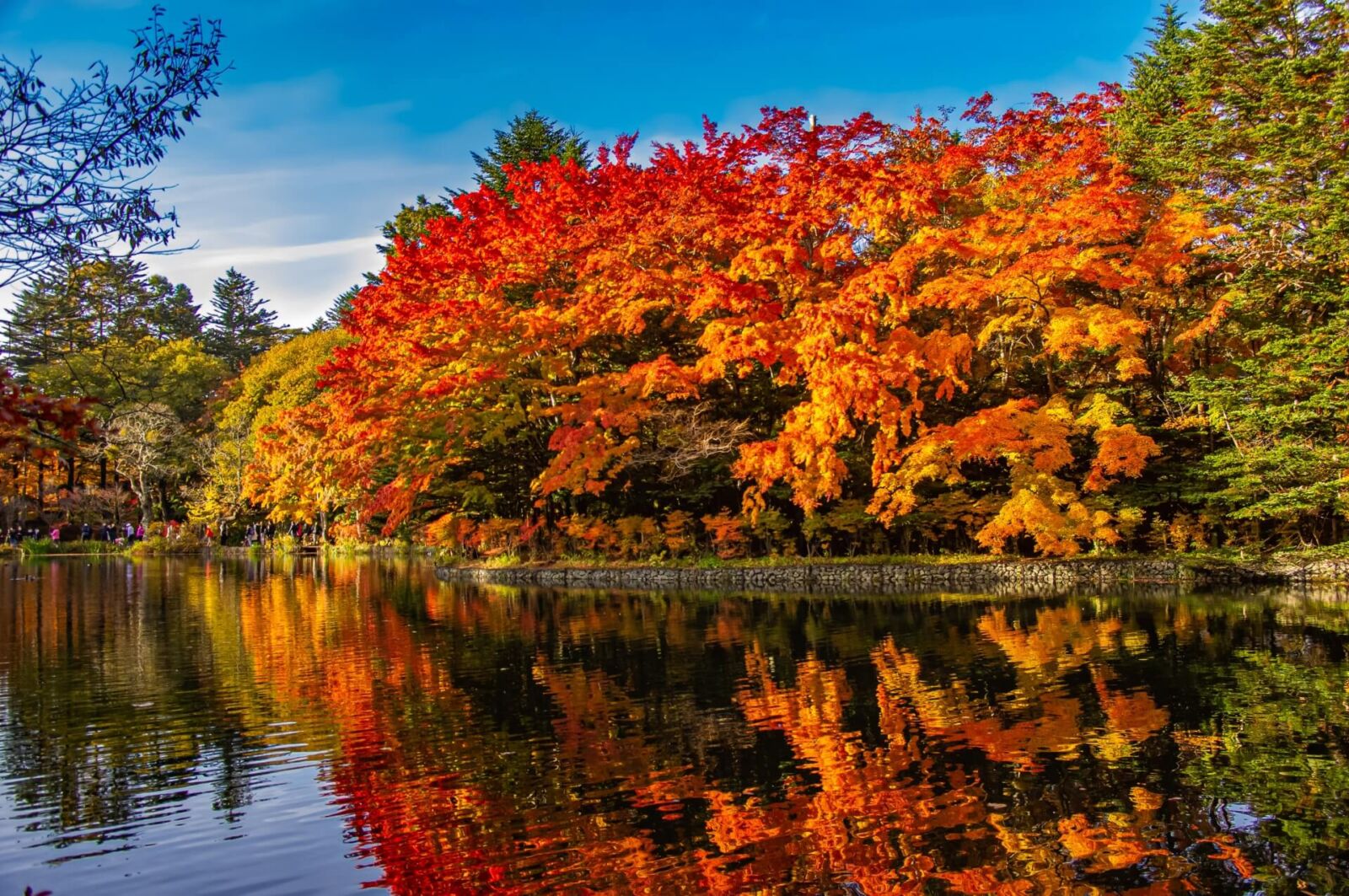 karuizawa-kumoda-pond-koyo