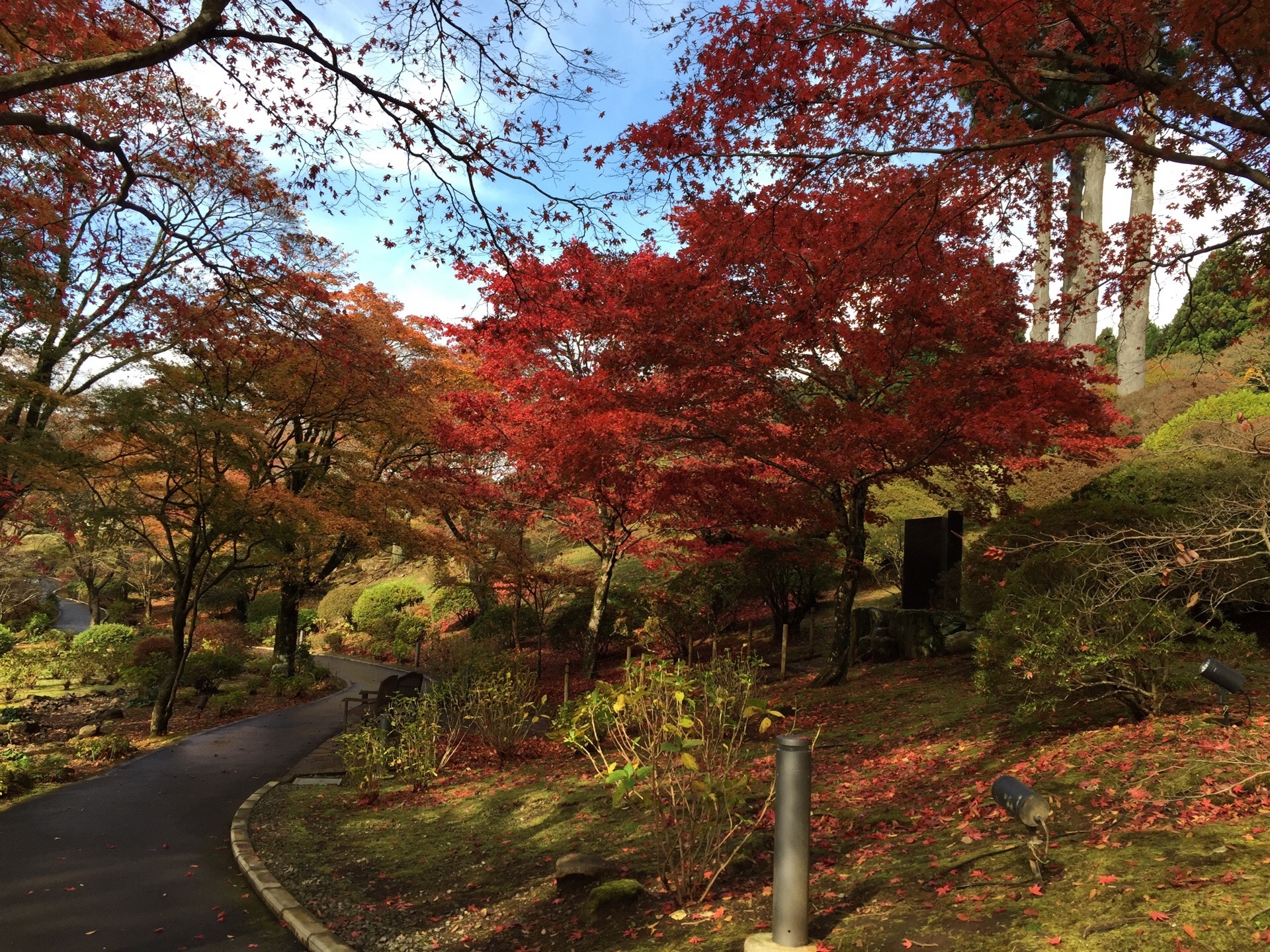 hakone