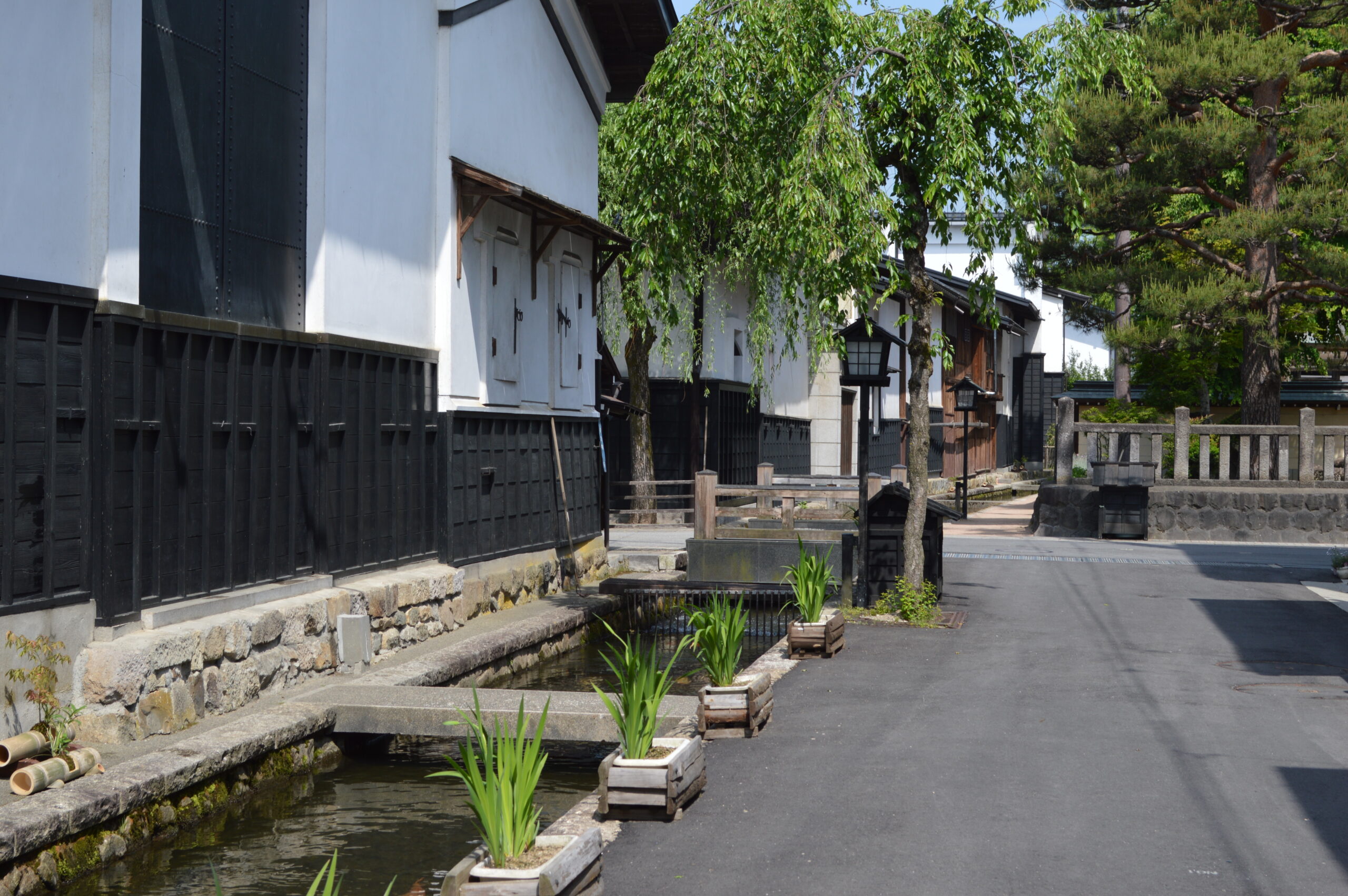 Takayama for Photographers: Must-Visit Scenic Spots - Snow Monkey