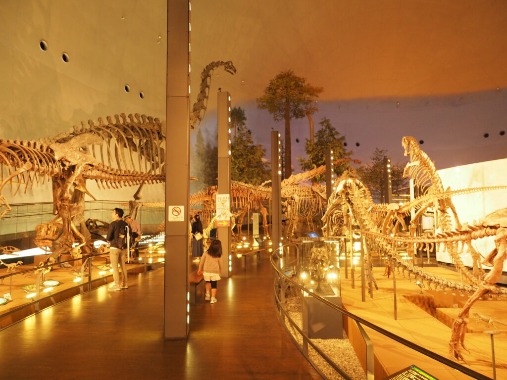 Fukui Prefectural Dinosaur Museum