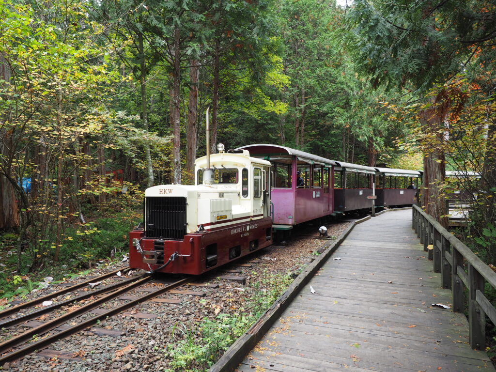 Akasawa-Natural-Recreational-Forest-Kiso