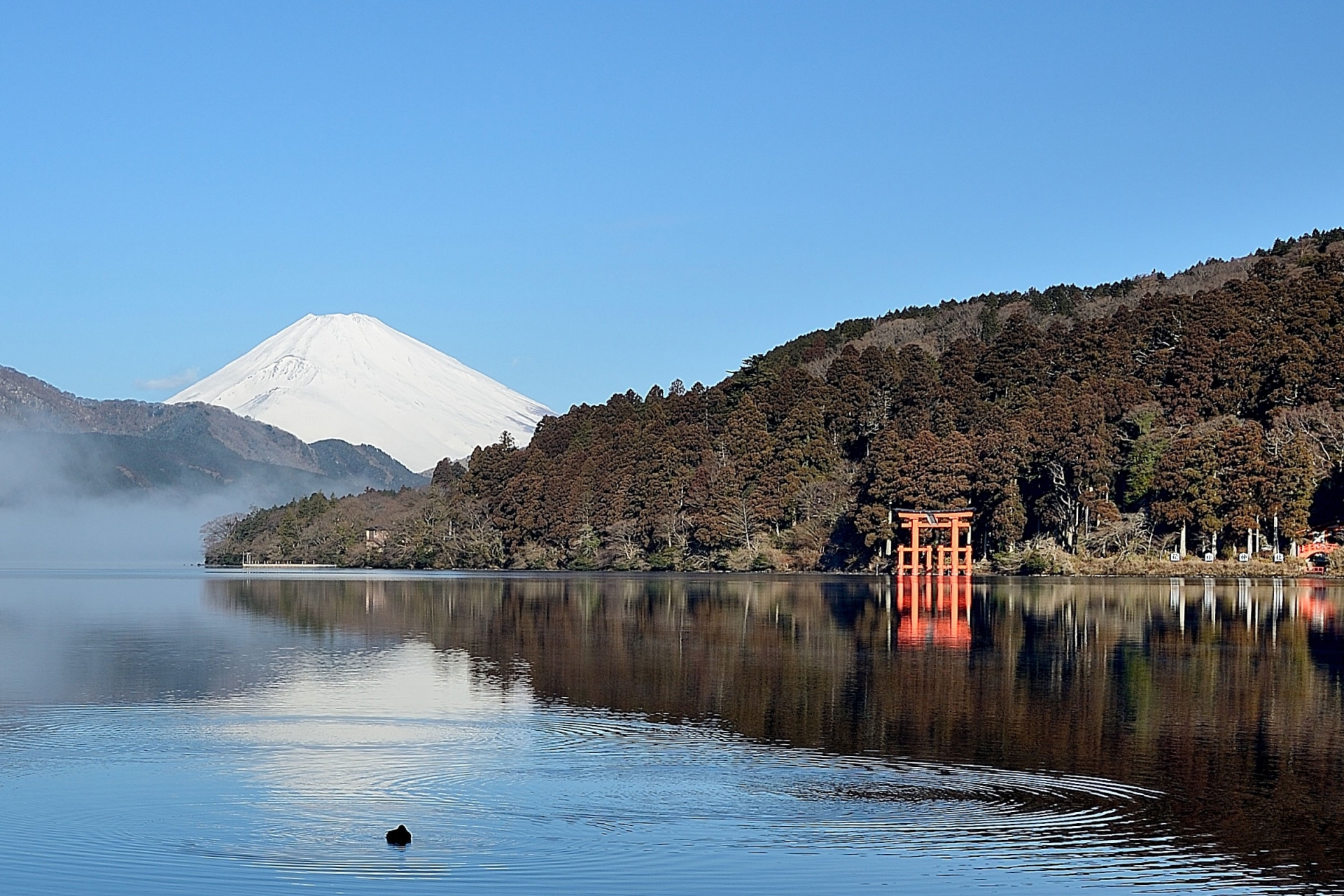 hakone-shrine