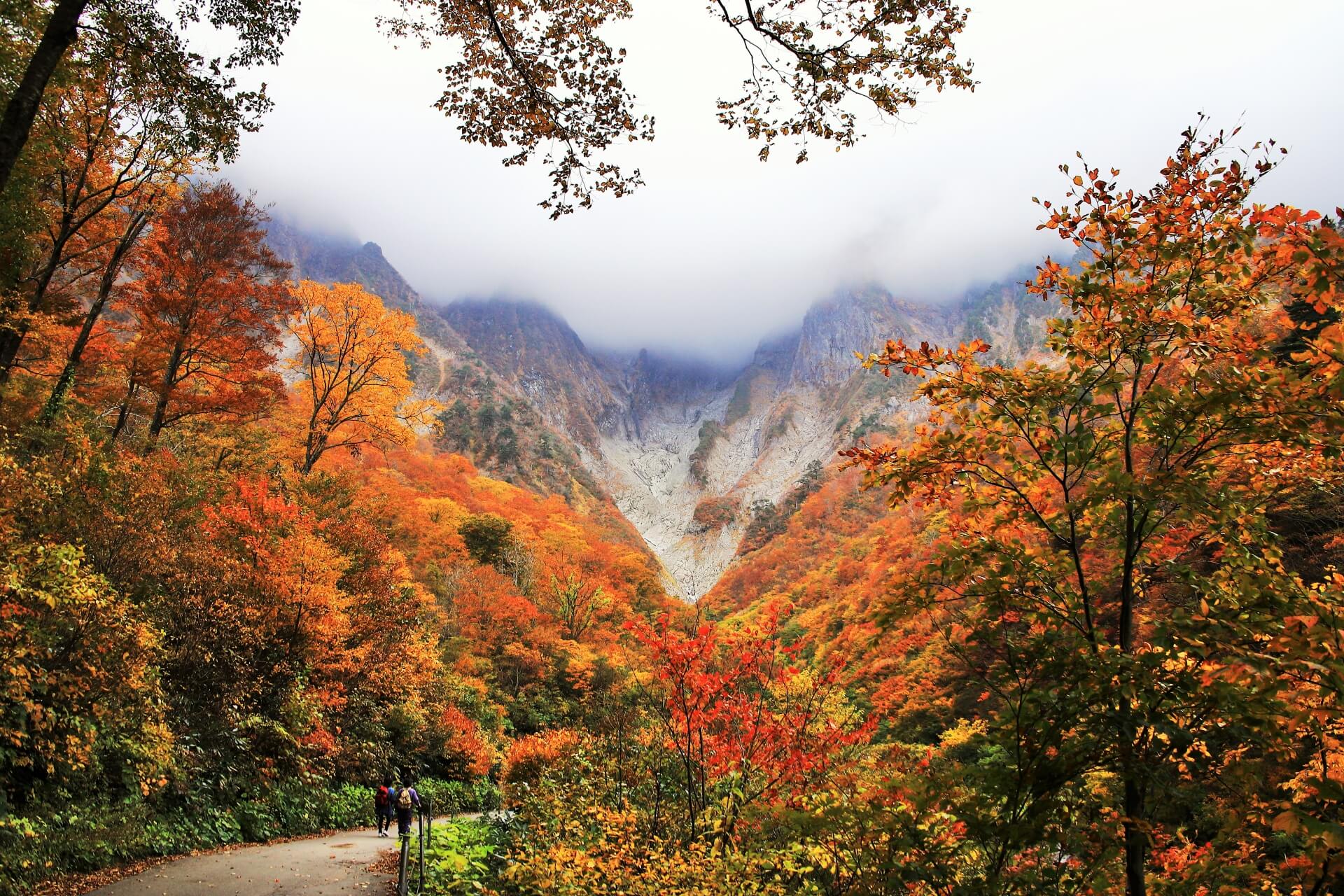 tanigawa-niigata-koyo-autumn