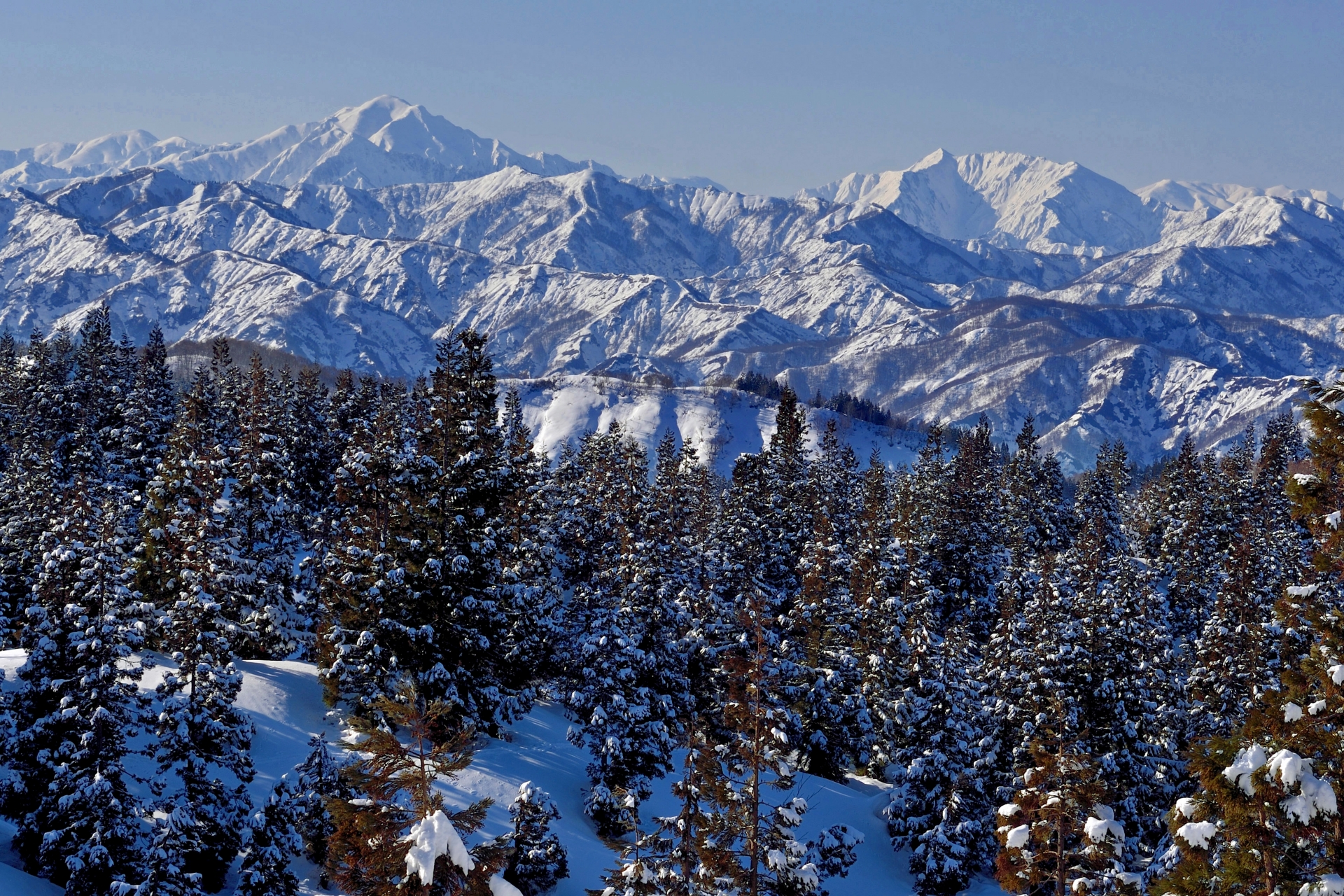 niigata tourist spot winter