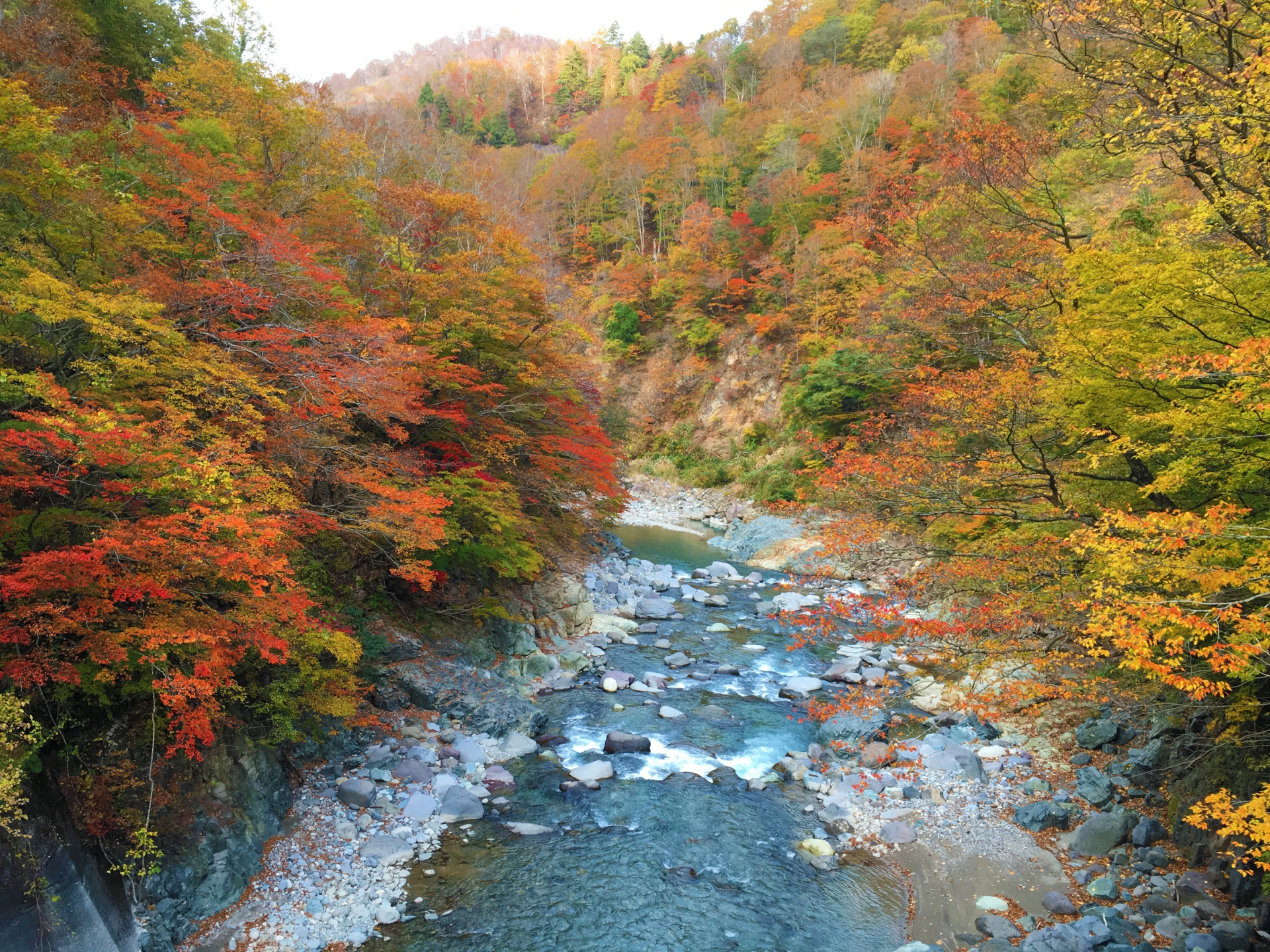 akiyamago-niigata