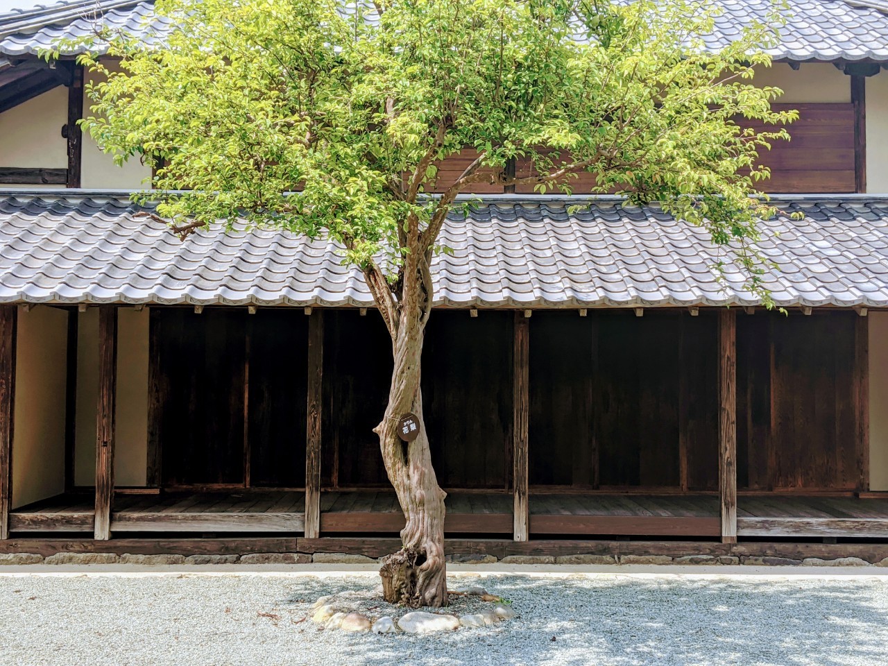 發現長野市的武士街--松代城