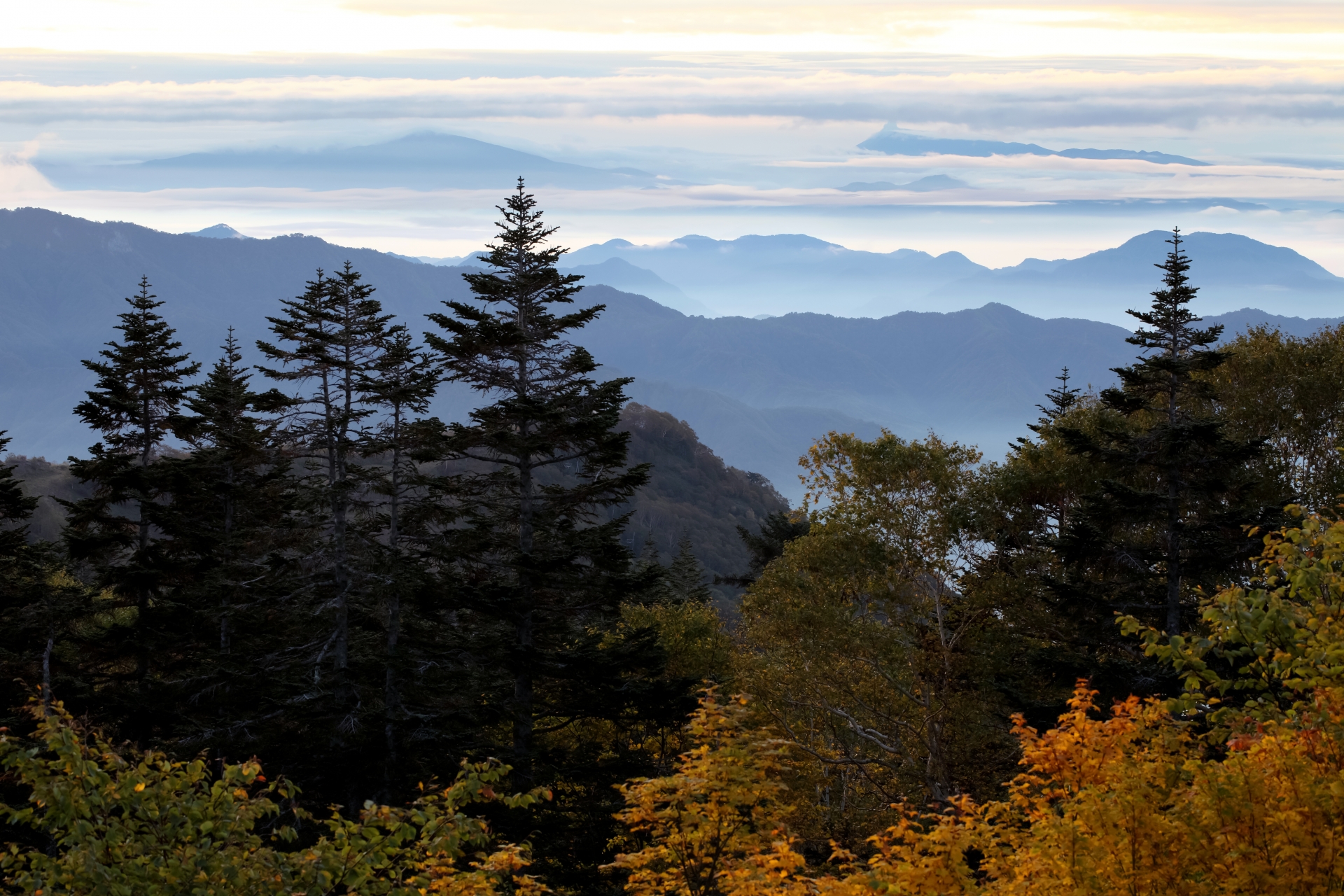 hakuba-tsugaike