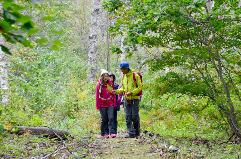 shiga-kogen-trail-guided-trekking