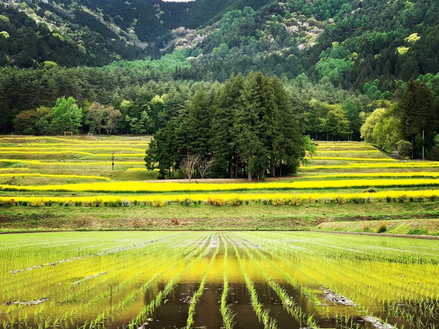 azumino-landscape