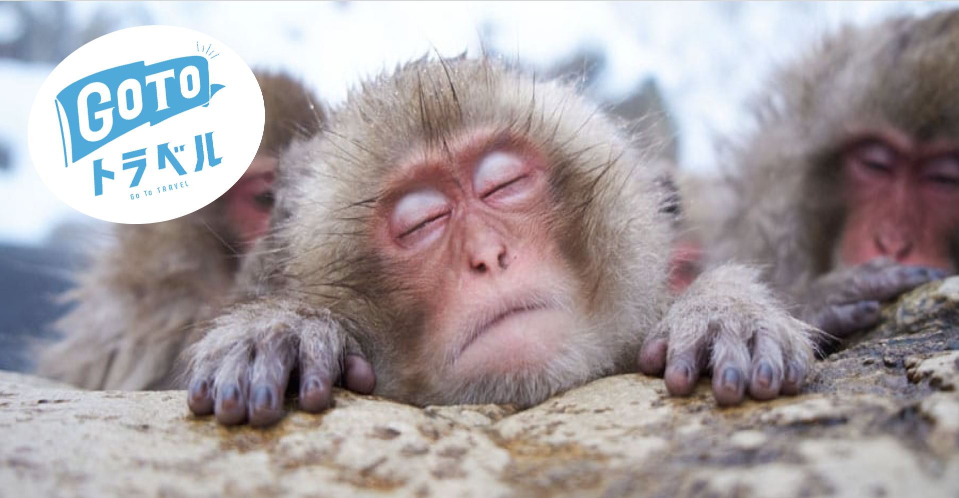 Welcome To Snow Monkey Resorts Nagano Japan