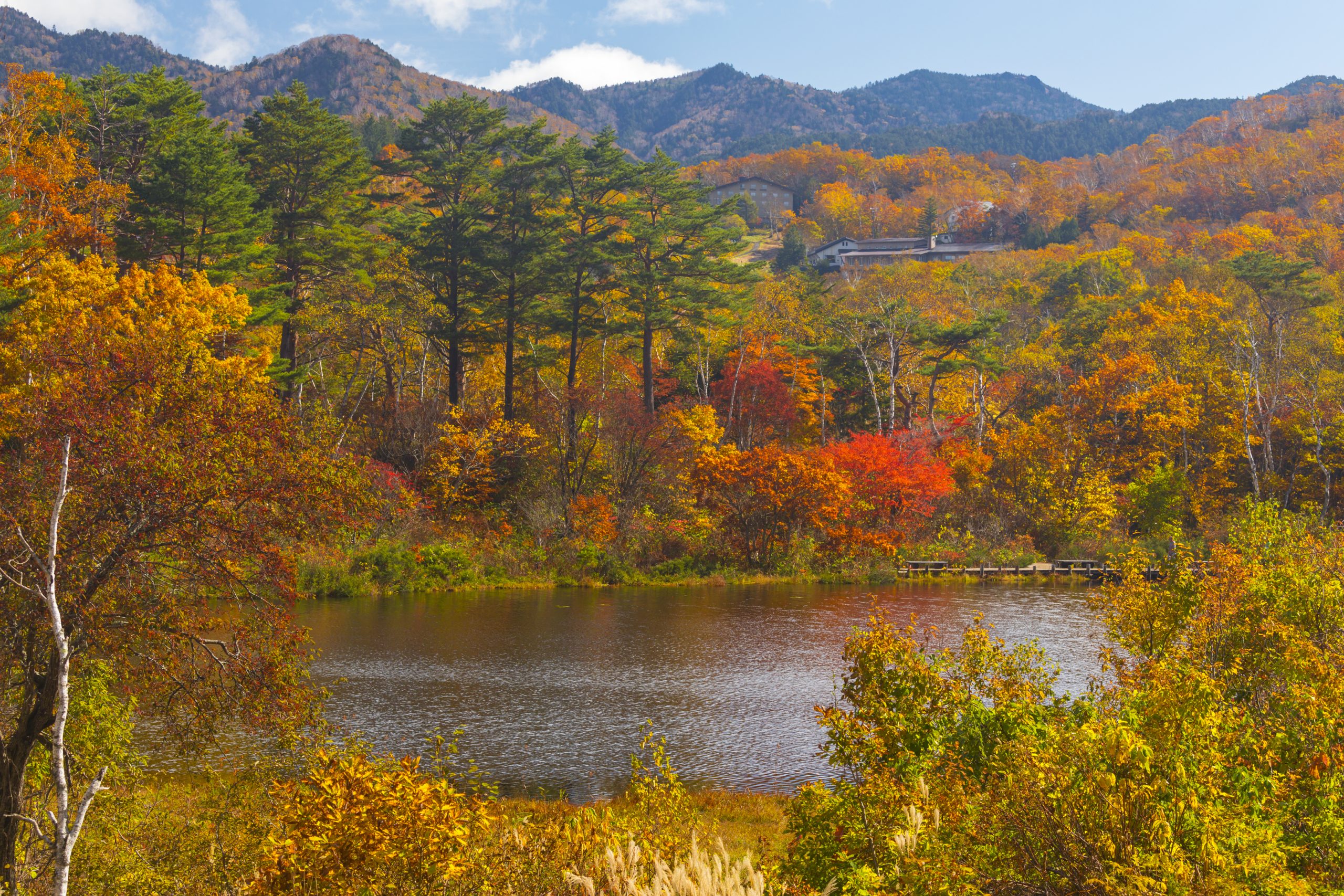 shiga-kogen-autumn-leaves-trail
