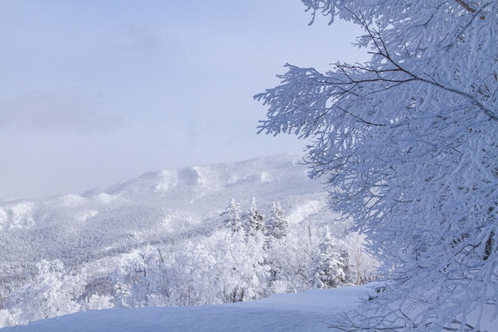 ski-snowboard-general