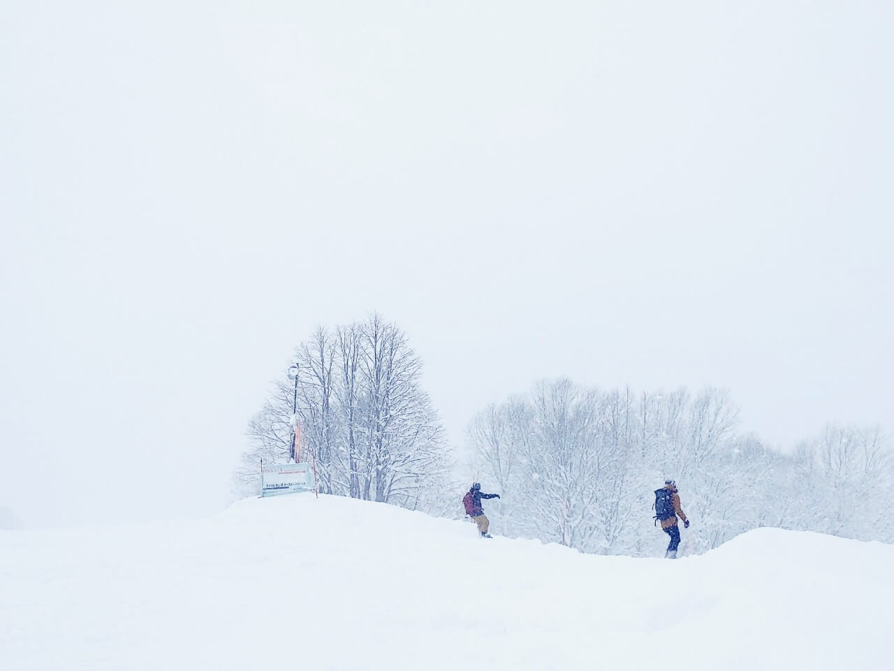 Storm blankets Tokyo with a year's worth of snow in a day